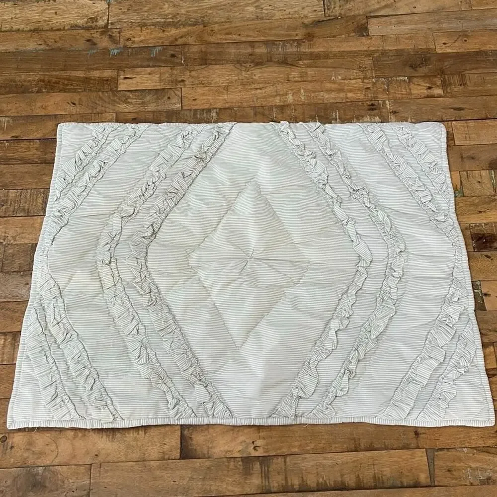 Pottery Barn Teen Emily & Meritt Diamond Ruffle Standard Quilted Sham Stripe